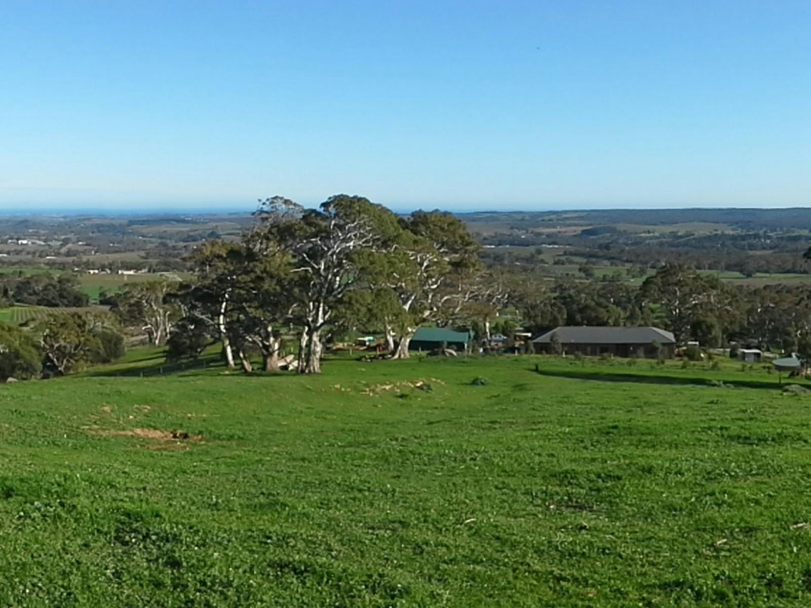Views- McLaren Vale