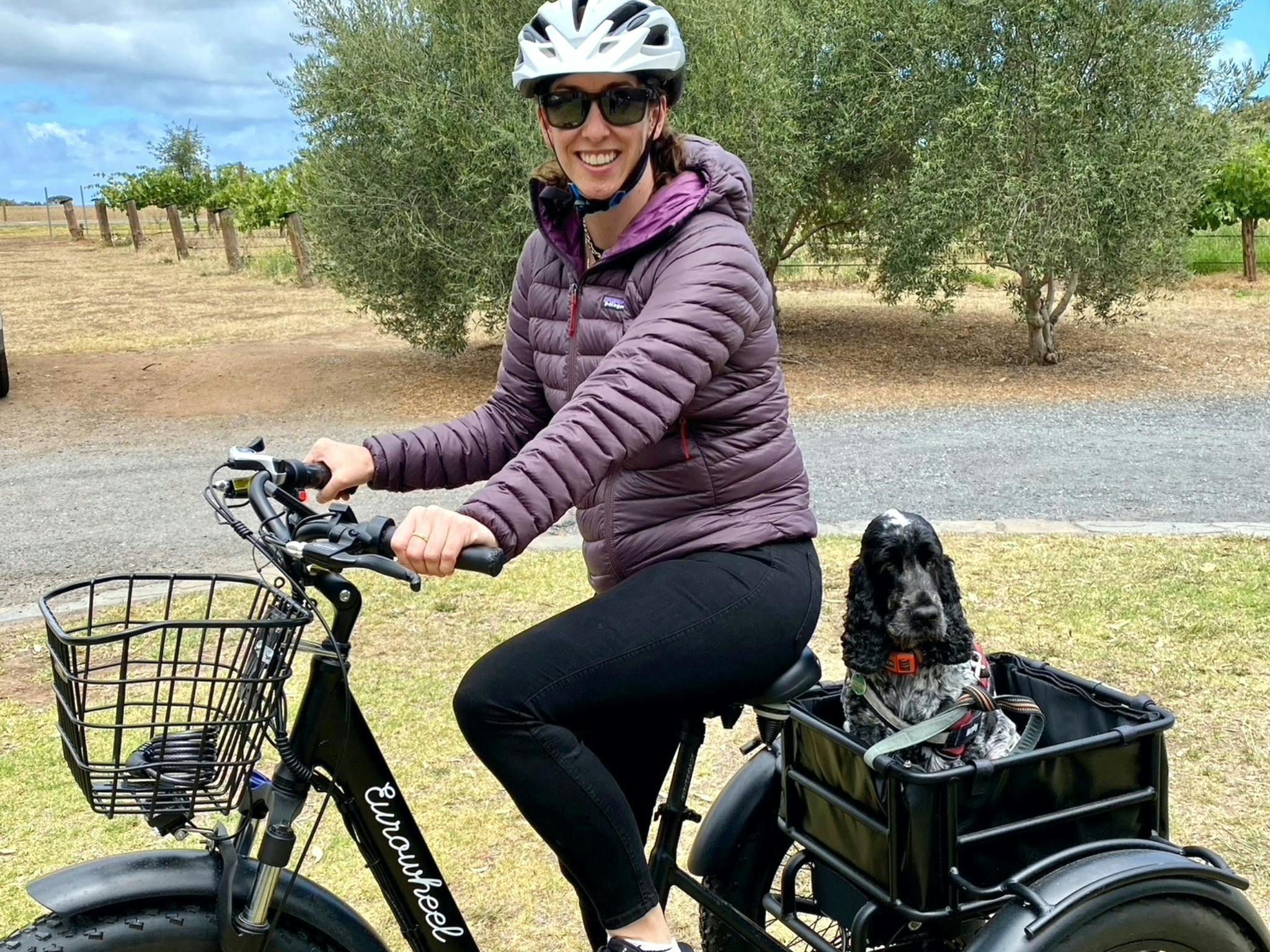 SA eTrike at McLaren Vale Visitor Centre, dog in the large basket behind the rider