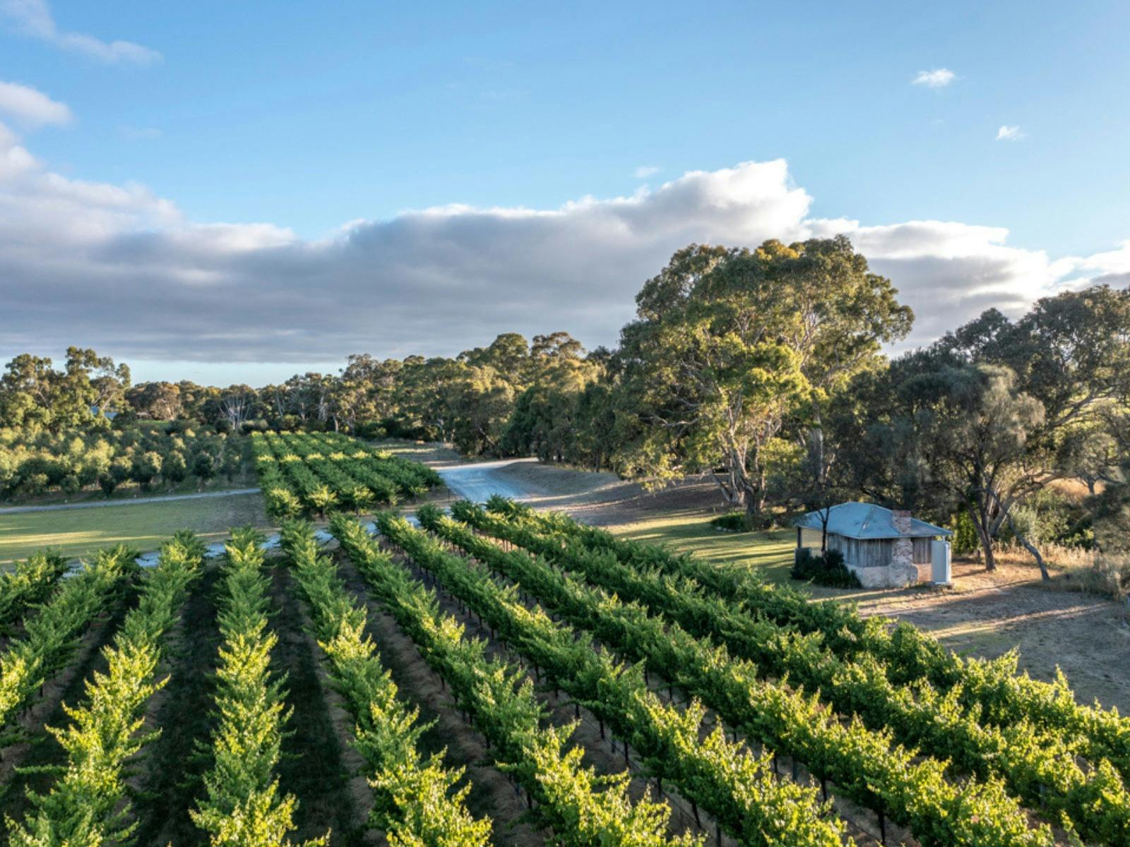 The Pickers Hut