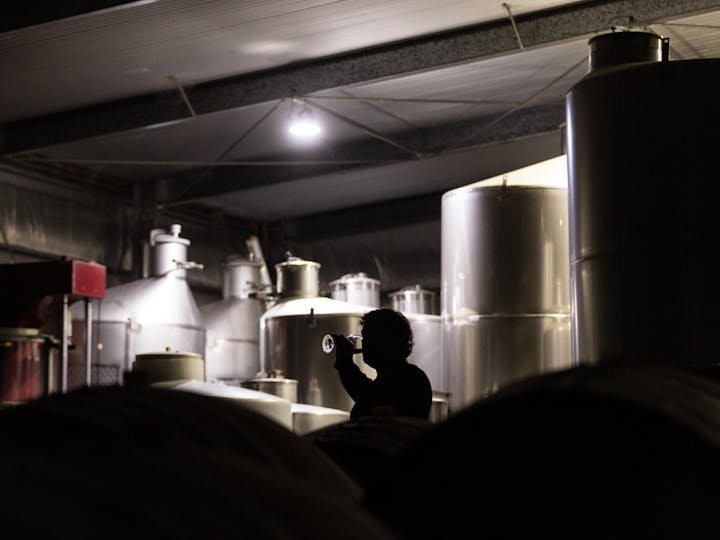 Geddes Wines