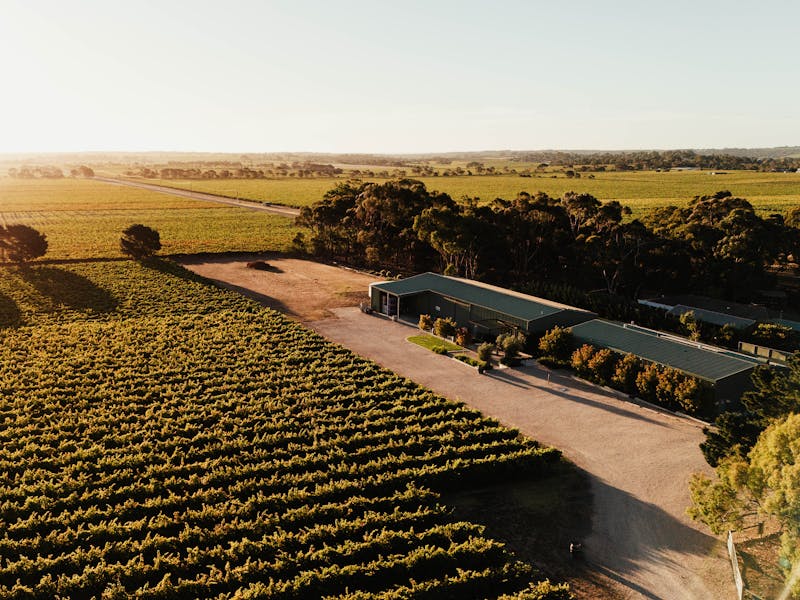 Shirvington Wines