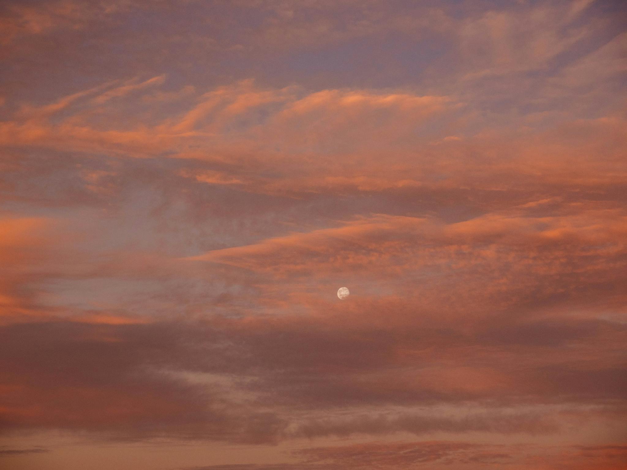 Full moon at Chalk Hill