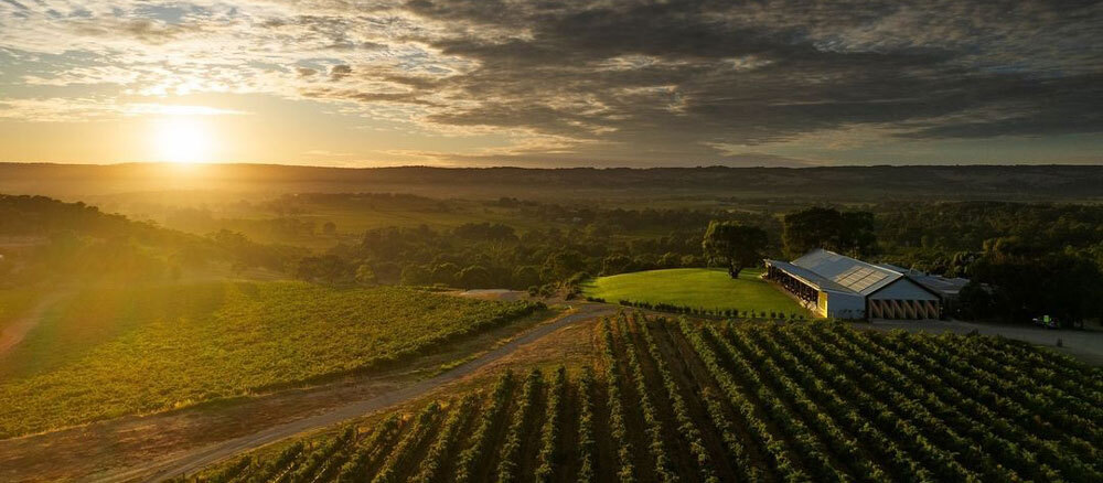 Chalk Hill Wines McLaren Vale