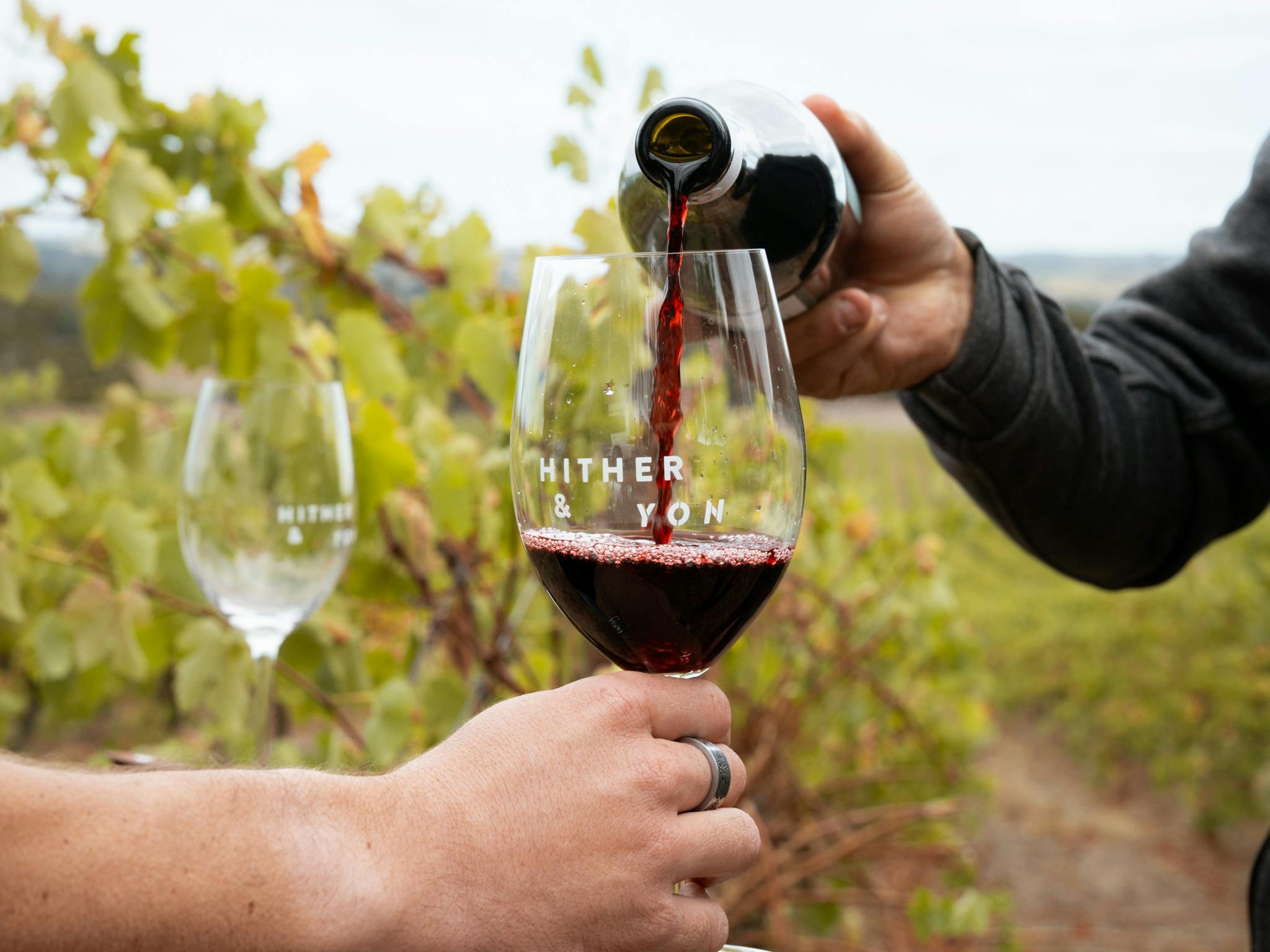 Vineyard Taste