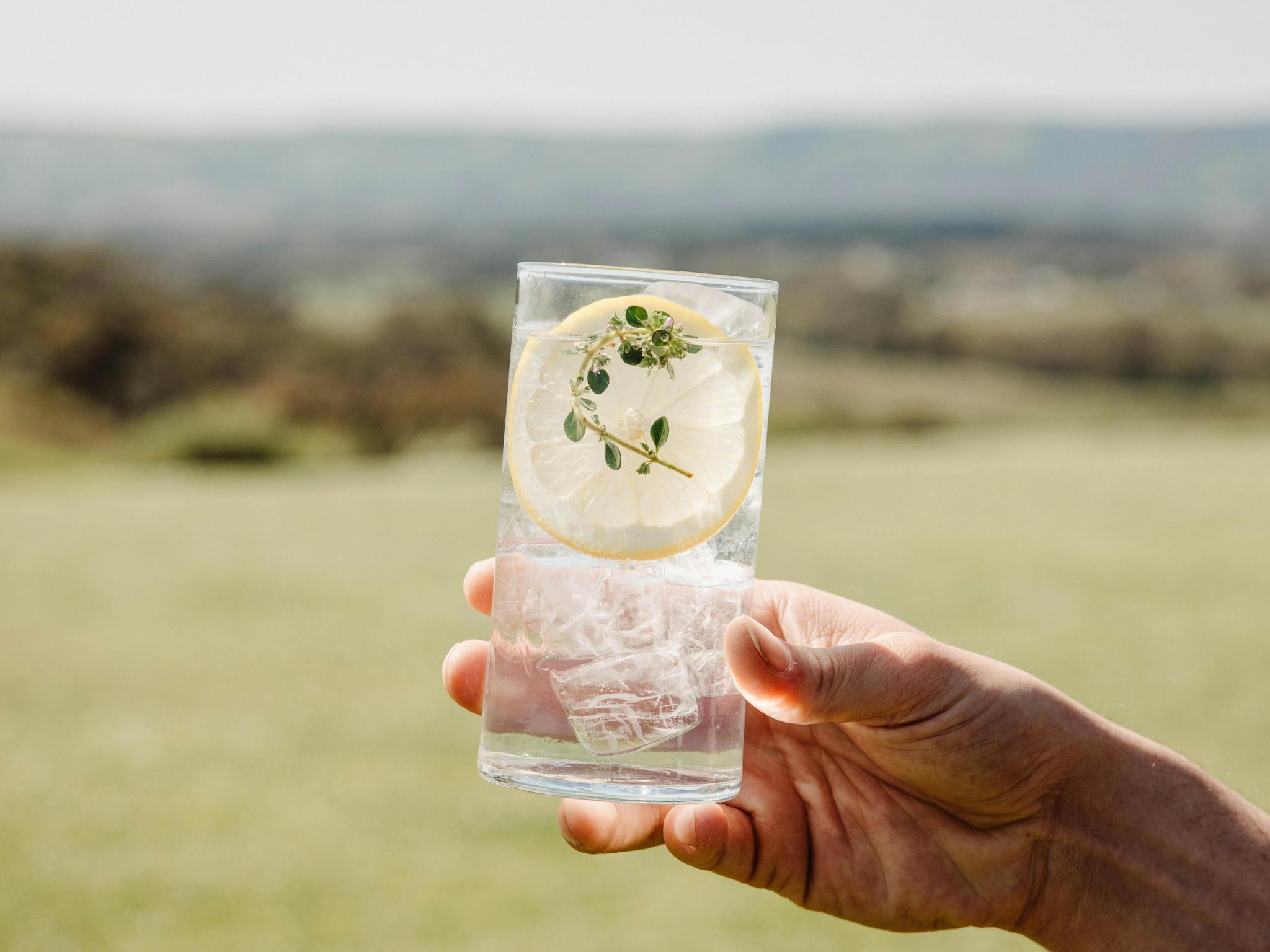 Hand holding a gin an tonic with lemon and herbs against a sunny, grassy landscape.