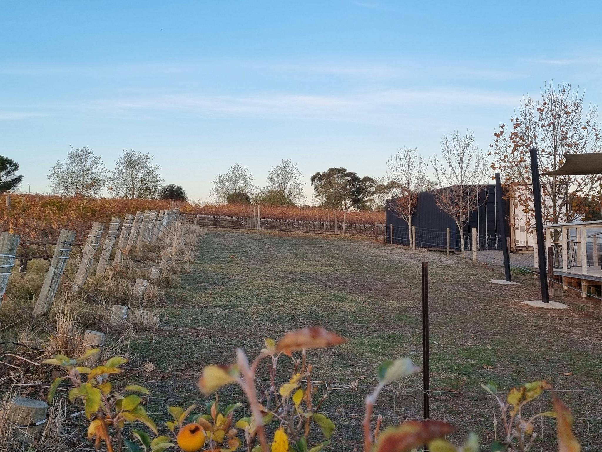 Cellar Door overlooking vineyards