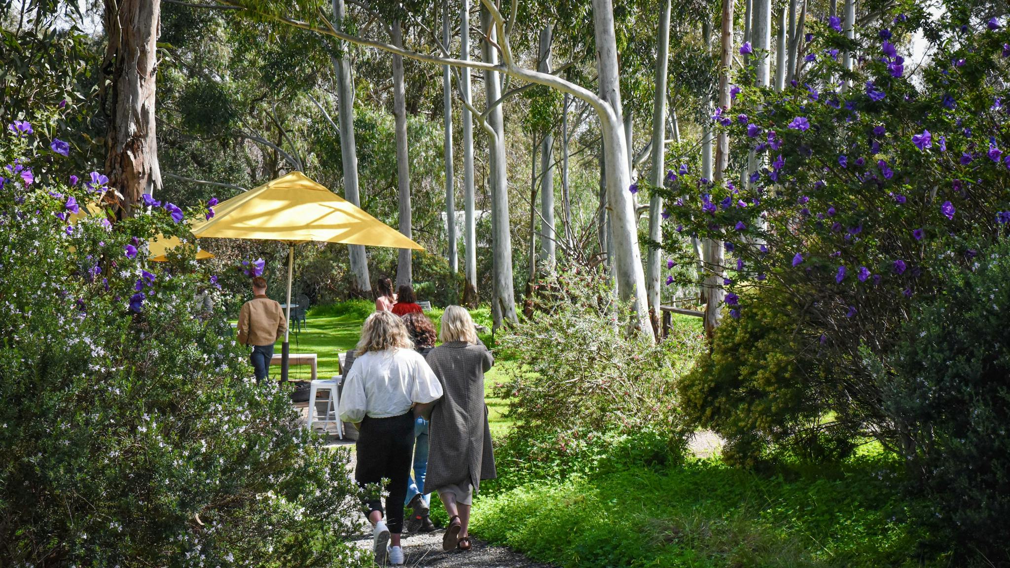 Walking from the car park to the cellar door