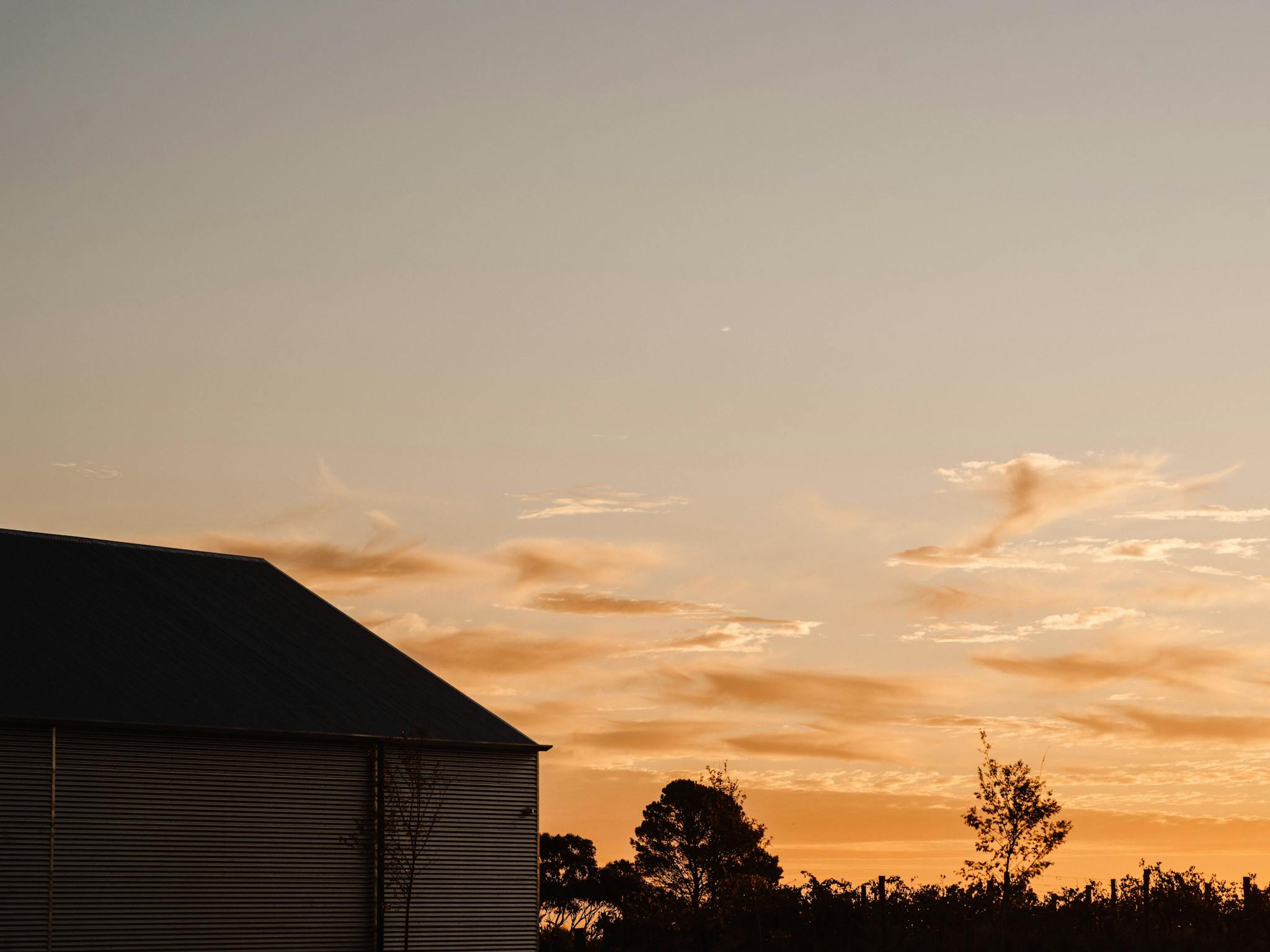Golden sunset at Chalk Hill
