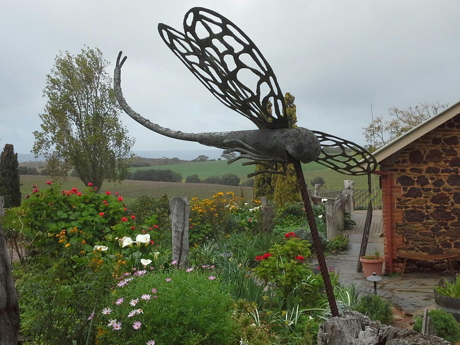 Views- McLaren Vale