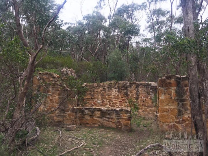 Echidna Hike