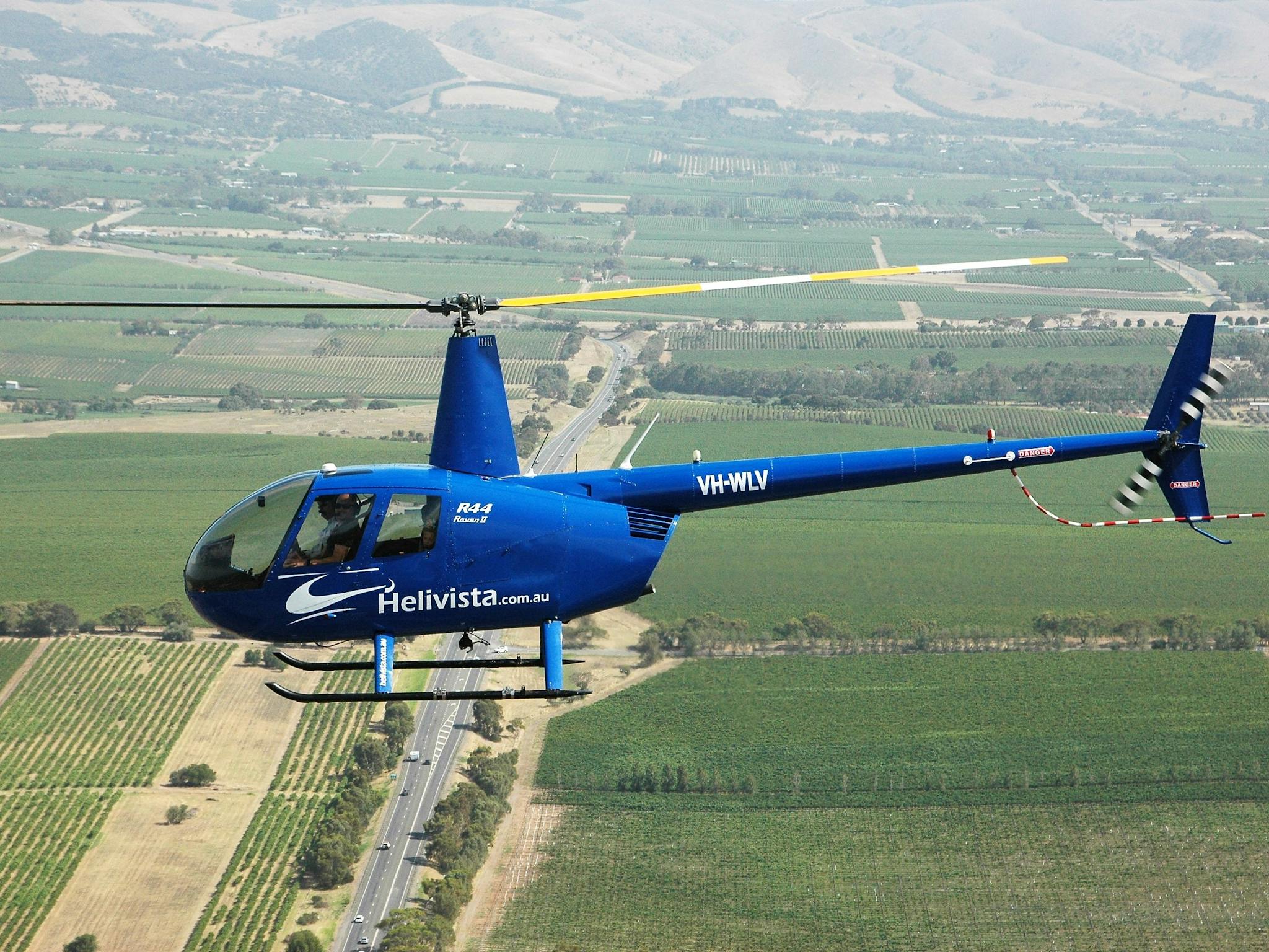 Scenic Flight over McLaren Vale