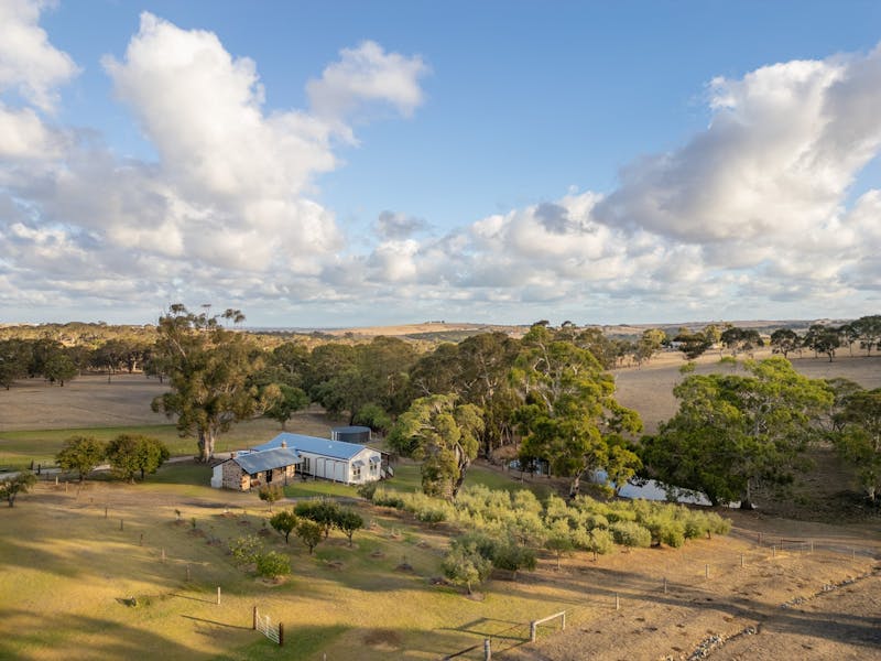 Fleurieu Food Festival | Merilli1885 and Merilli Angus Paddock to Plate Long Lunch