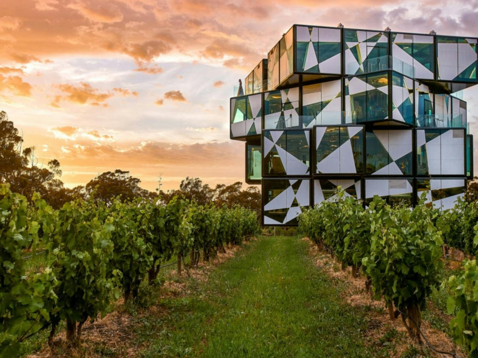 McLaren Vale / d'Arenberg Cube Food & Wine Tour