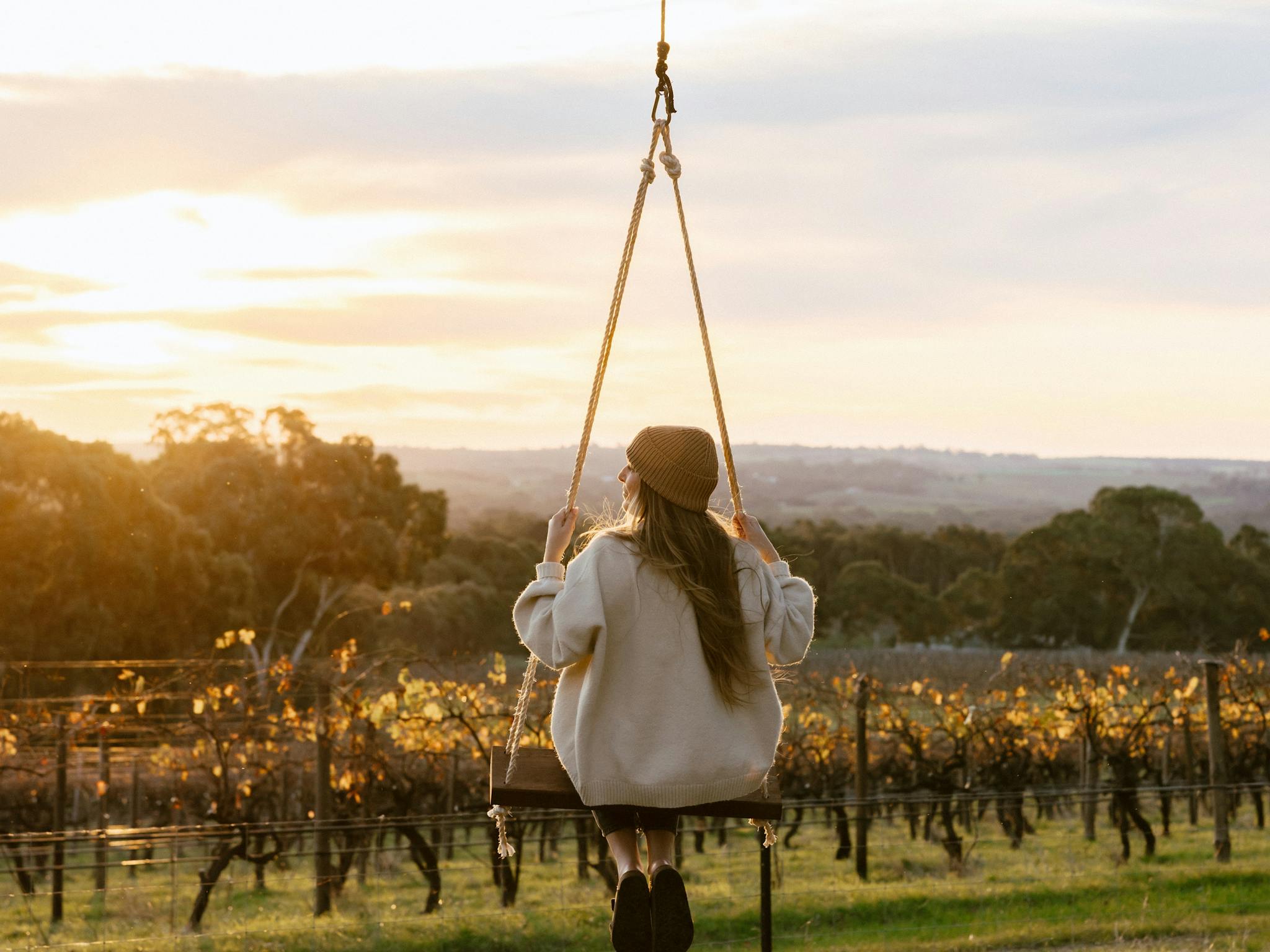 Giant Swing over vineyards