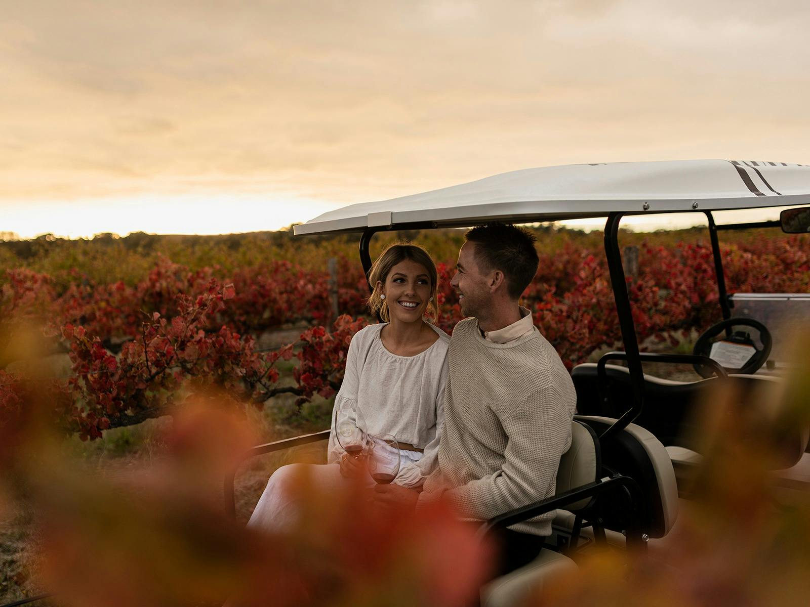 Vineyard Tour in Autumn