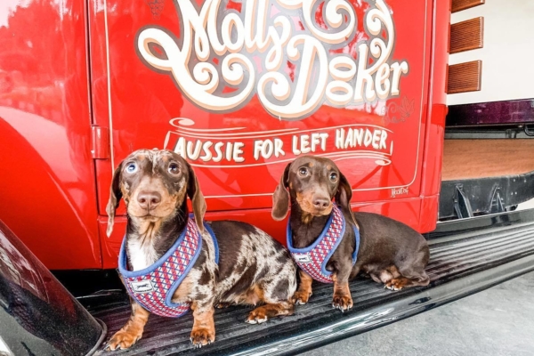 Floofs Mollydooker 2021 image MVGWTA