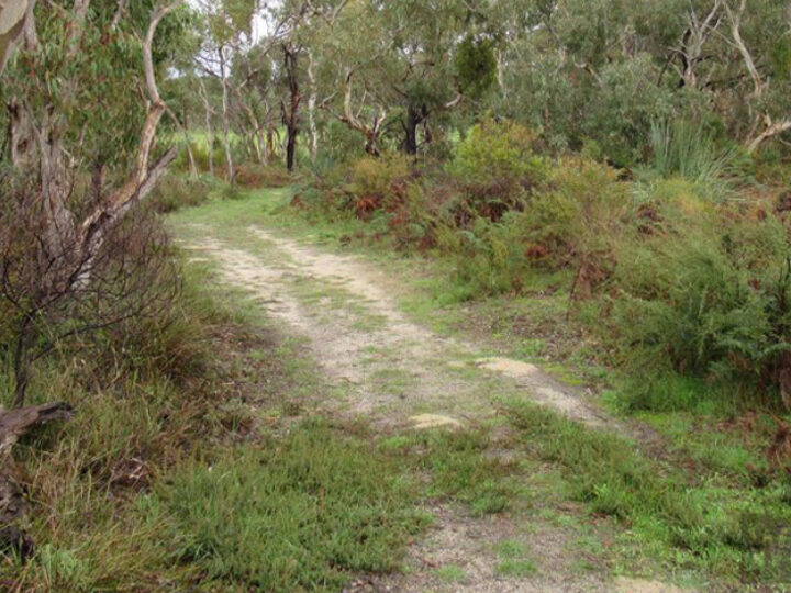 Walking Loop of Manning Reserve