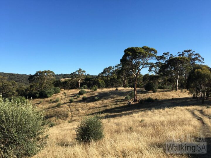 River Hike, Onkaparinga Gorge