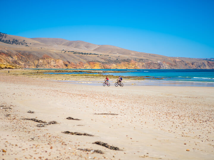 Coast Park Trail - Sellicks Beach