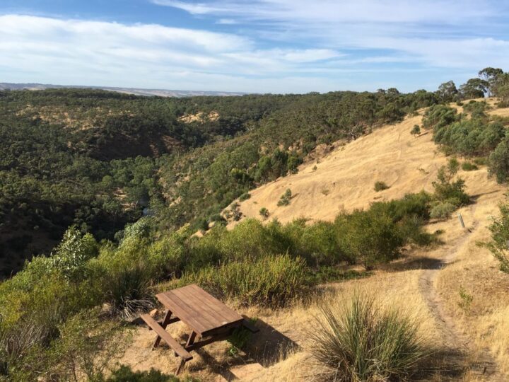 Sundews Ridge Hike