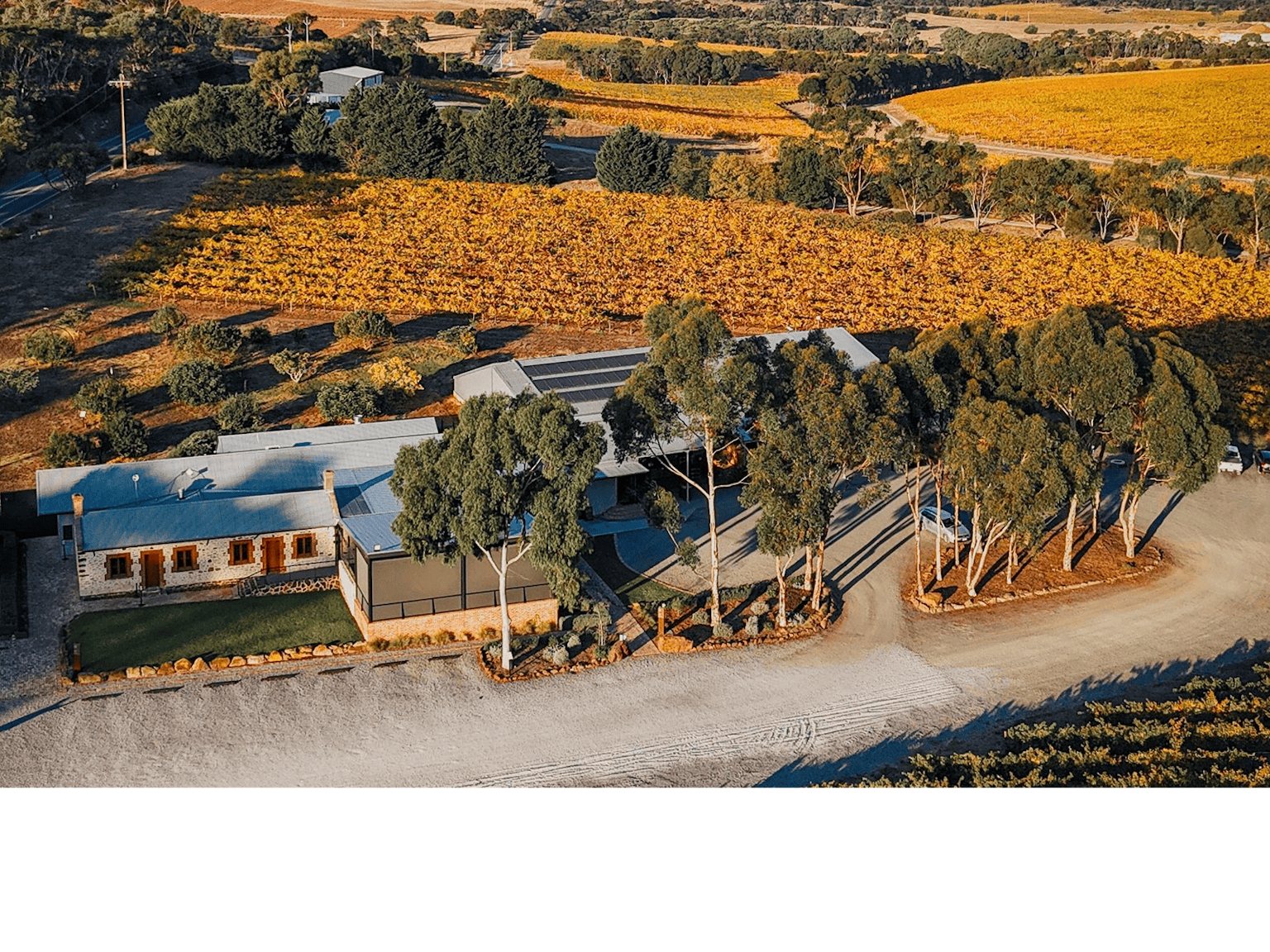 Oliver's Taranga Cellar Door
