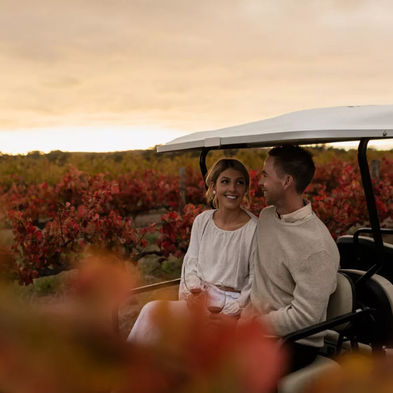 Olivers Taranga Terroir Tour 1x1